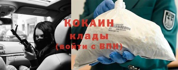 индика Коряжма