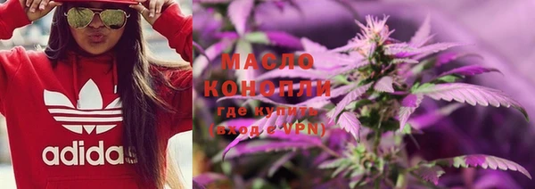 индика Коряжма
