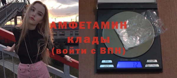 индика Коряжма