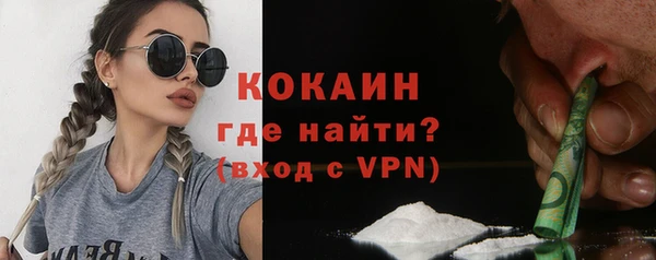 индика Коряжма