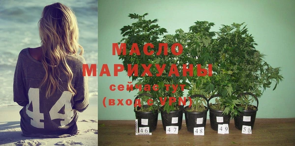 индика Коряжма