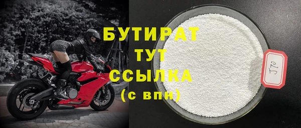 индика Коряжма