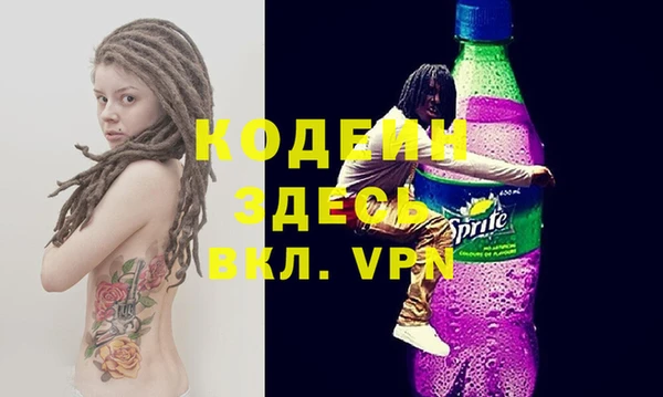 индика Коряжма