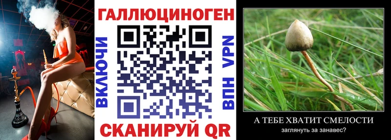 Галлюциногенные грибы Magic Shrooms  Сухиничи 